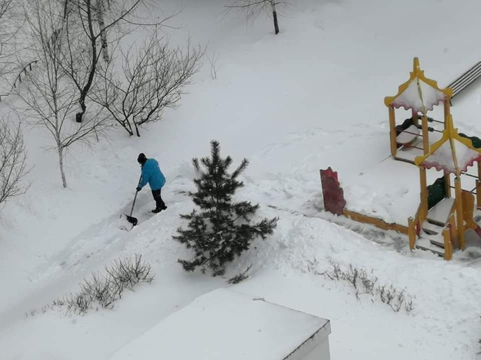 Фото дня: дружные жители Люблина помогают коммунальщикам убирать снег