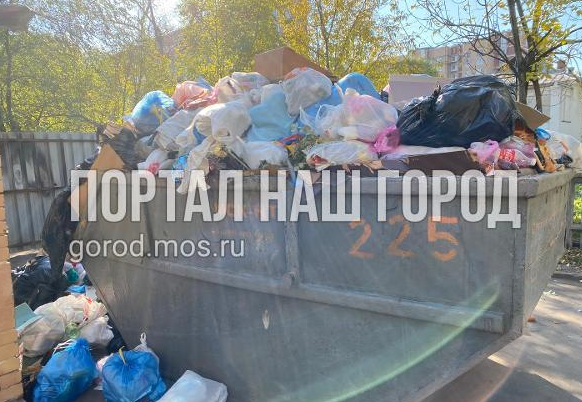 Фото: скриншот с портала «Наш Город»