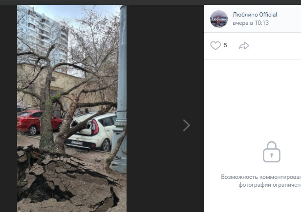 Большое дерево «вырвало с мясом» на Совхозной